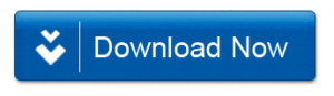 Download Internet Download Manager Full Crack Gratis