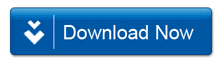 https://pcsx2.net/ Link Download
