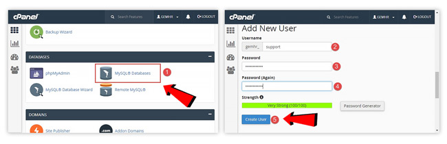 Cara Membuat Website WordPress Database CPanel