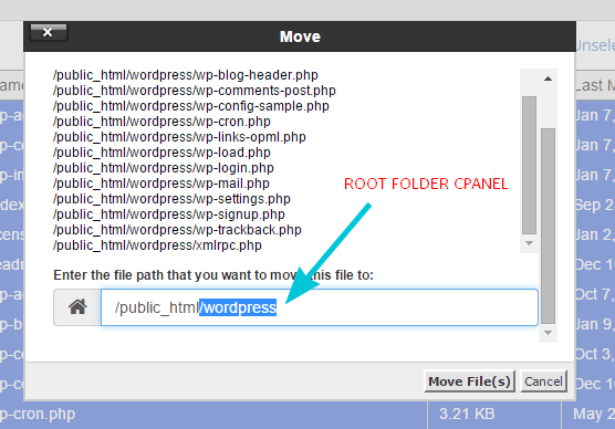 Upload WordPress Cpanel