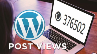 Menampilkan Post Views WordPress Yasir252