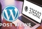 Menampilkan Post Views WordPress Yasir252