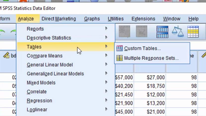 Download IBM SPSS 24 Full Version Windows