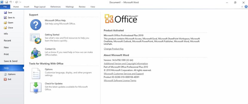 Microsoft Office 2010 Professional Plus SP2