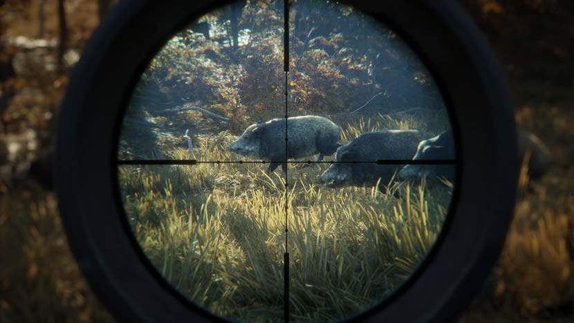 Download Game The Hunter Call Of The Wild Gratis