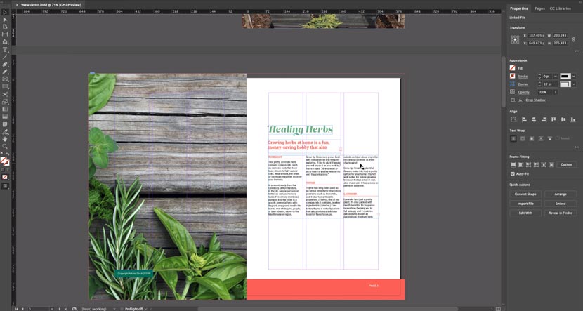Adobe InDesign CC 2019 Full Version [GD]  YASIR252