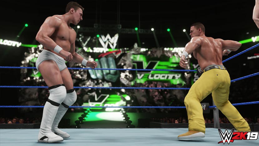 WWE 2k19 PC Game Free Download Full Version