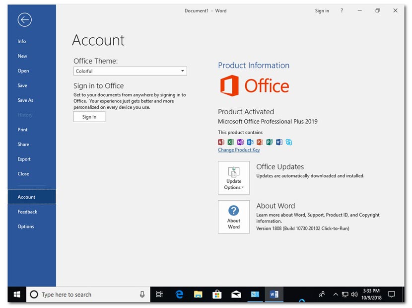 Office 2019 Pre Activated Download