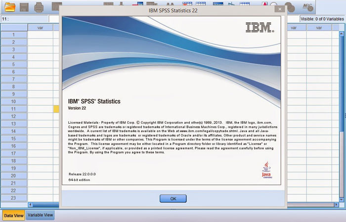 Software IBM SPSS 22 Final
