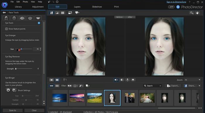 PhotoDirector Free Download