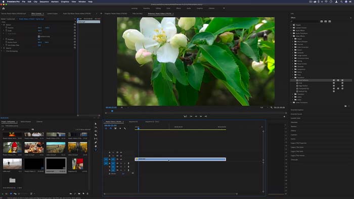 Premiere Pro CC 2020 MacOS Full