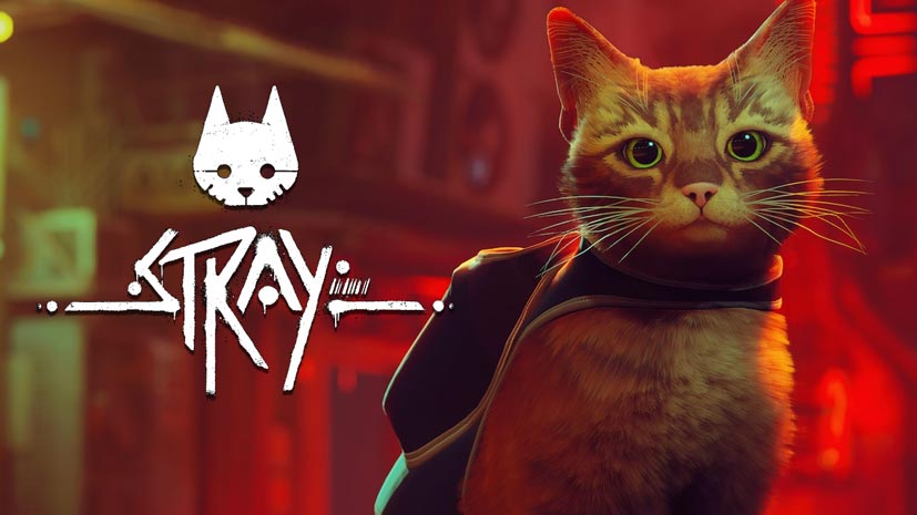 Download Stray Game PC Full Version Gratis