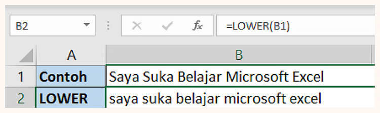 27 Rumus Penting Microsoft Excel LOWER