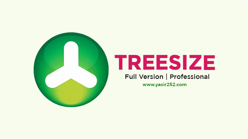 Treesize Professional Full Crack Windows