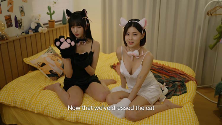 Five Hearts Under One Roof Free Download