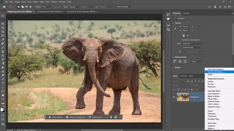 Adobe Photoshop 2026 full version editing a creative elephant photo
