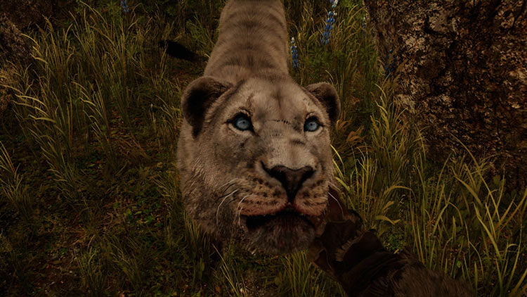 Taming a sabretooth tiger in Far Cry Primal PC Game Full Version