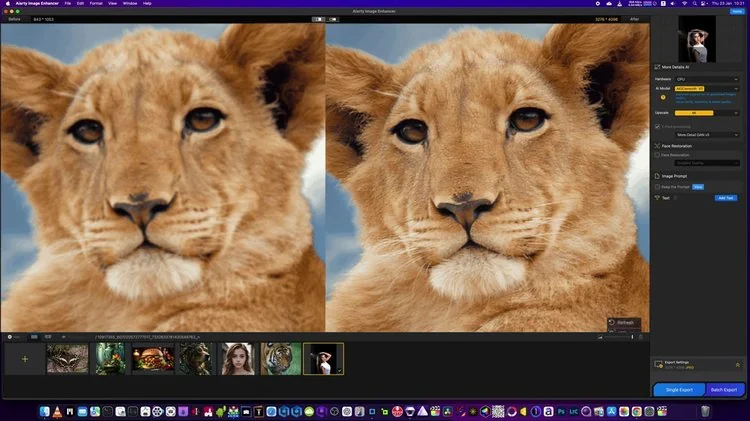 Aiarty Image Enhancer Full Version Tampilan User Interface Enhancement Software MacOS