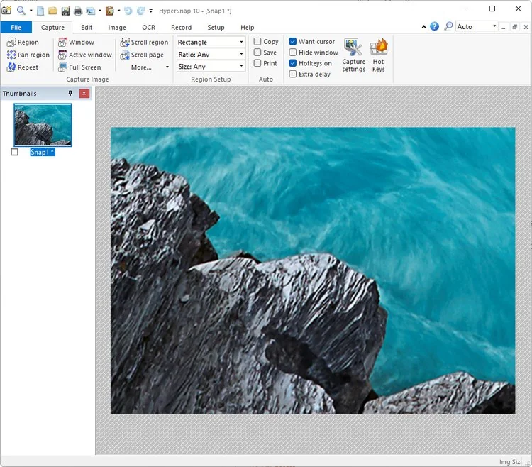 HyperSnap User Interface Screenshot