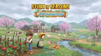 Story of Seasons A Wonderful Life PC Game