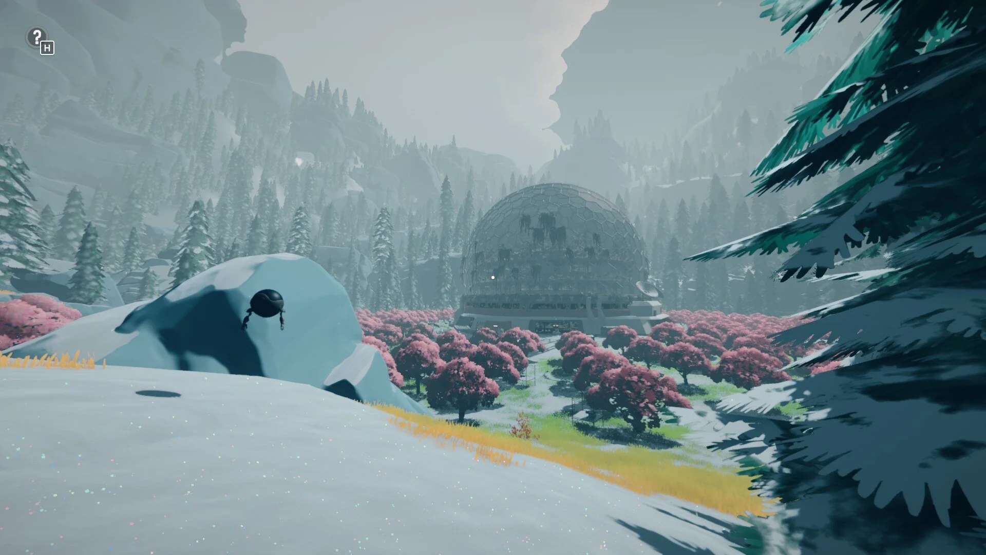 Arctic Awakening entering botanical research area