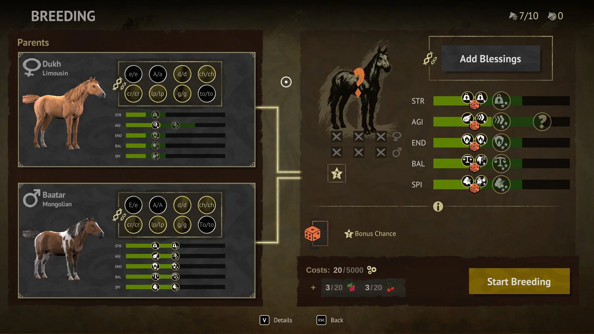 Breeding kuda UI
