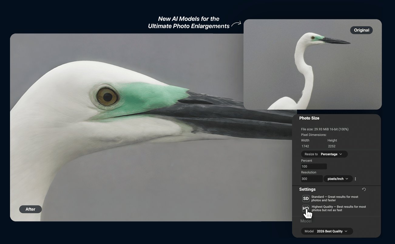ON1 Resize AI 2026 upscale foto flamingo ke pengaturan highest quality
