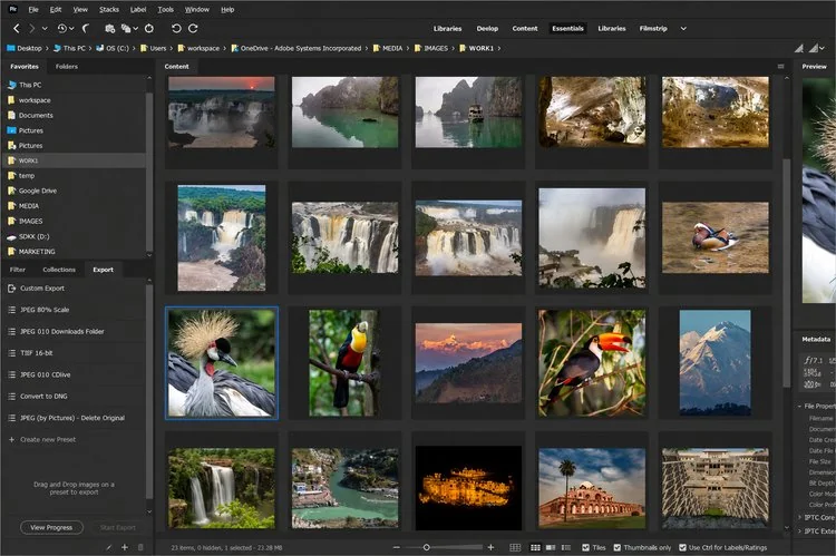 Membuka koleksi foto di Adobe Bridge dengan workspace Essentials