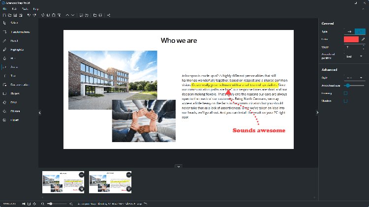 Ashampoo Snap Pro UI and Arrow Tools view